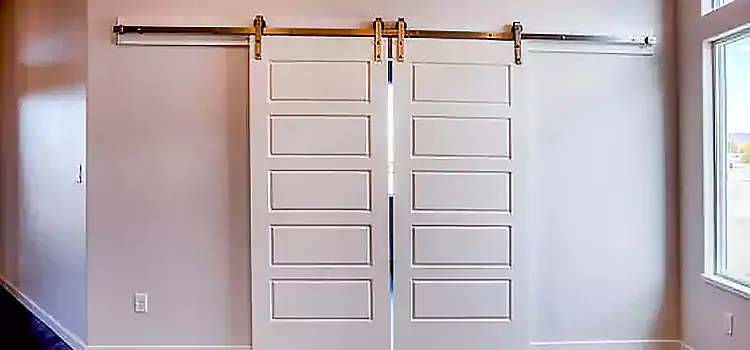 Glass Barn Door with Installation Hardware Kit Indian Trail