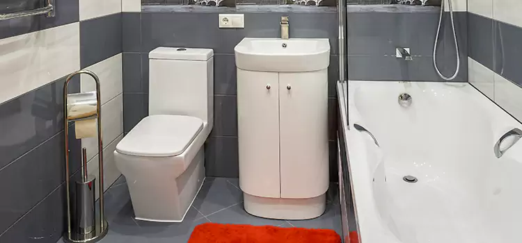 Hansgrohe Shaving Mirror Indian Trail